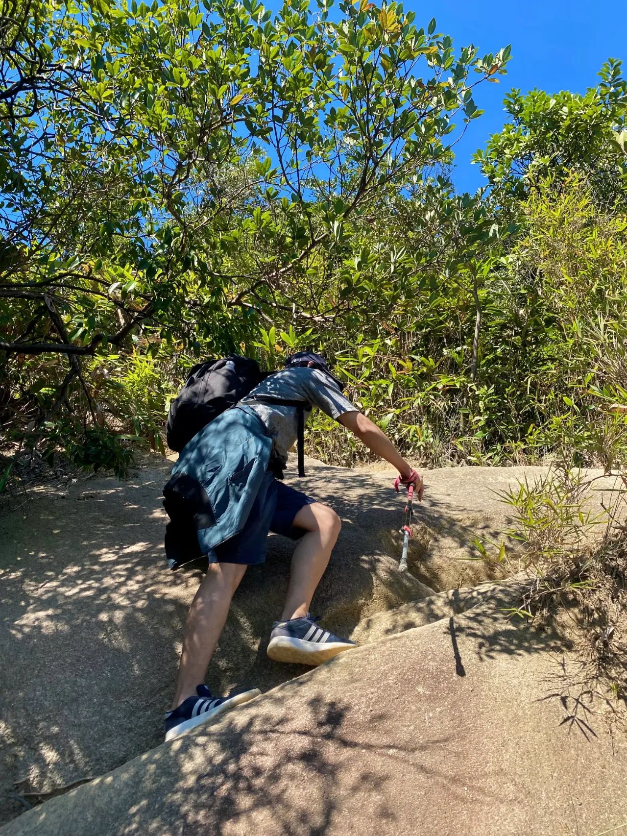 快码住，广州37条徒步路线超详细汇总🗺