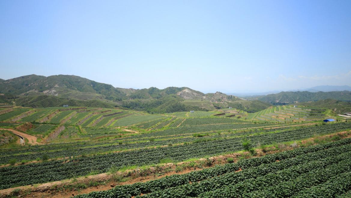 慧谷农业——以产业报国 显农企担当