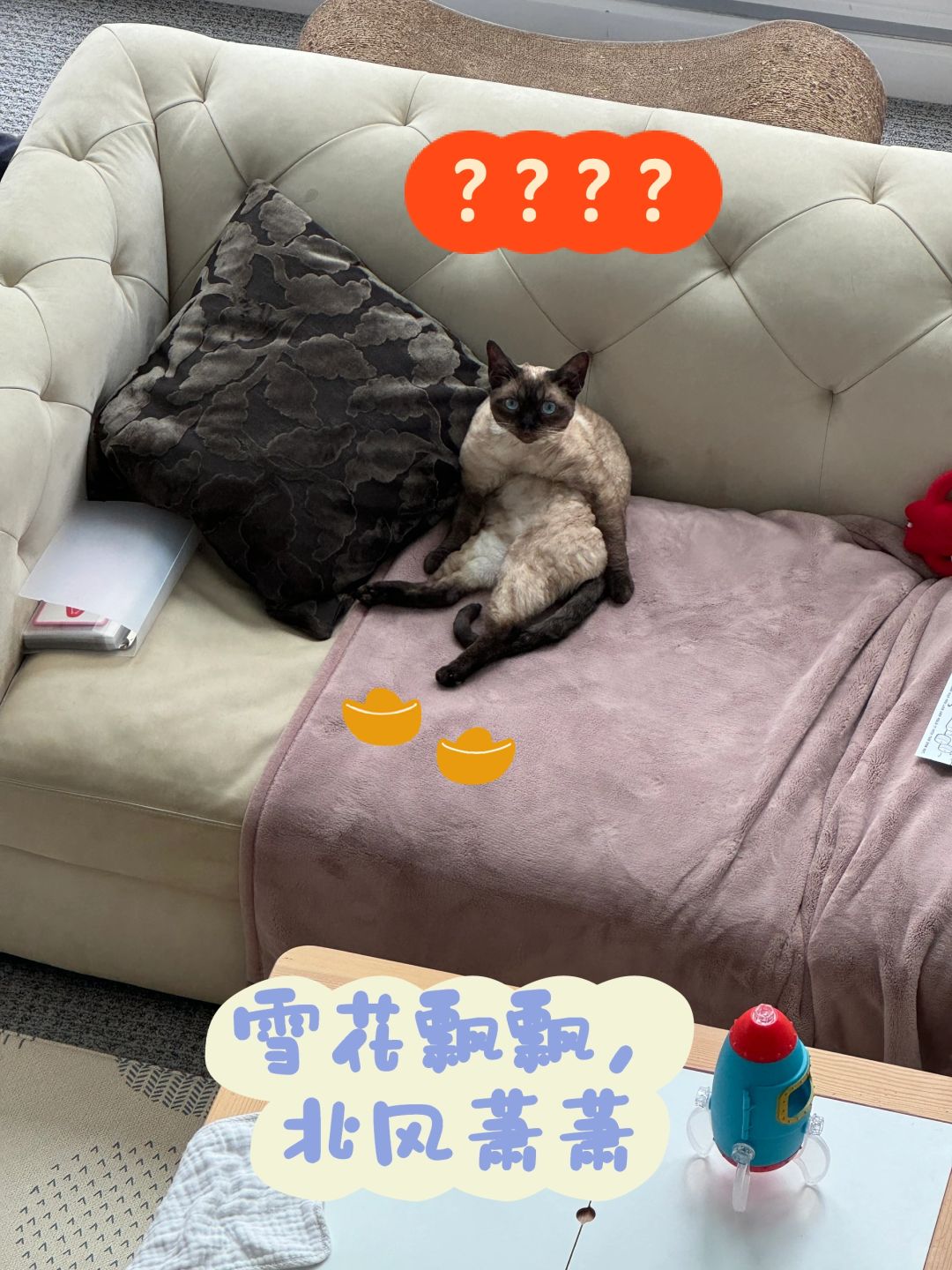 德文狗在干嘛
请问这厮是在干嘛？
1. 身残志坚：快给我个碗，你看这样能要到猫粮