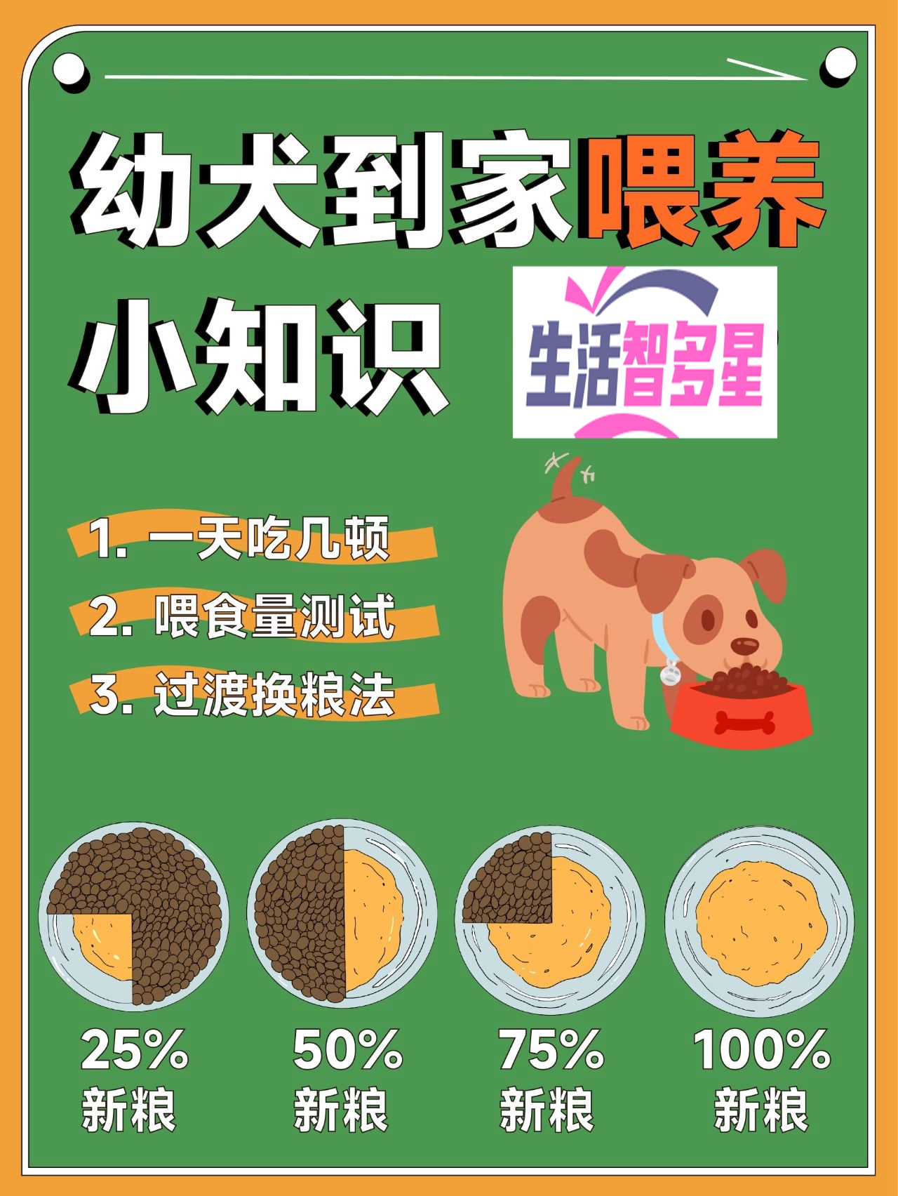 狗狗喂食量#幼犬一天喂多少克狗粮#