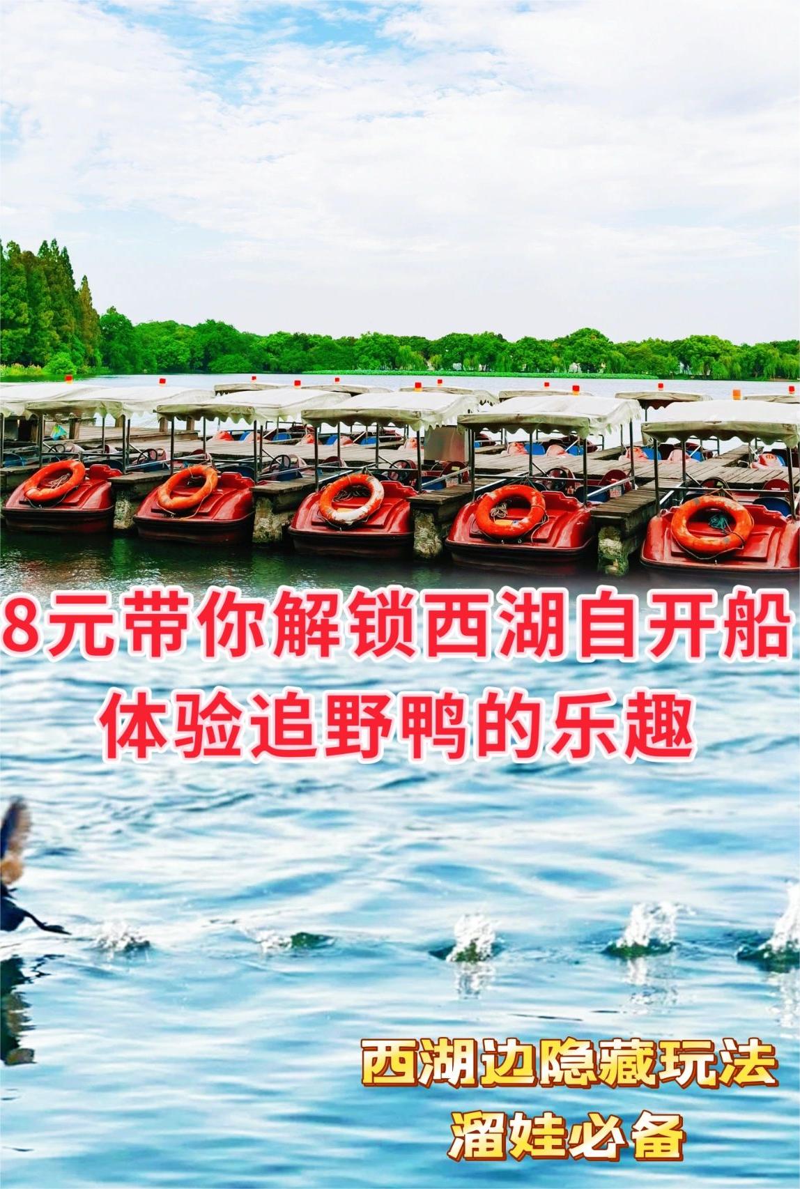 8元带你解锁西湖自开船追野鸭（私藏玩法）