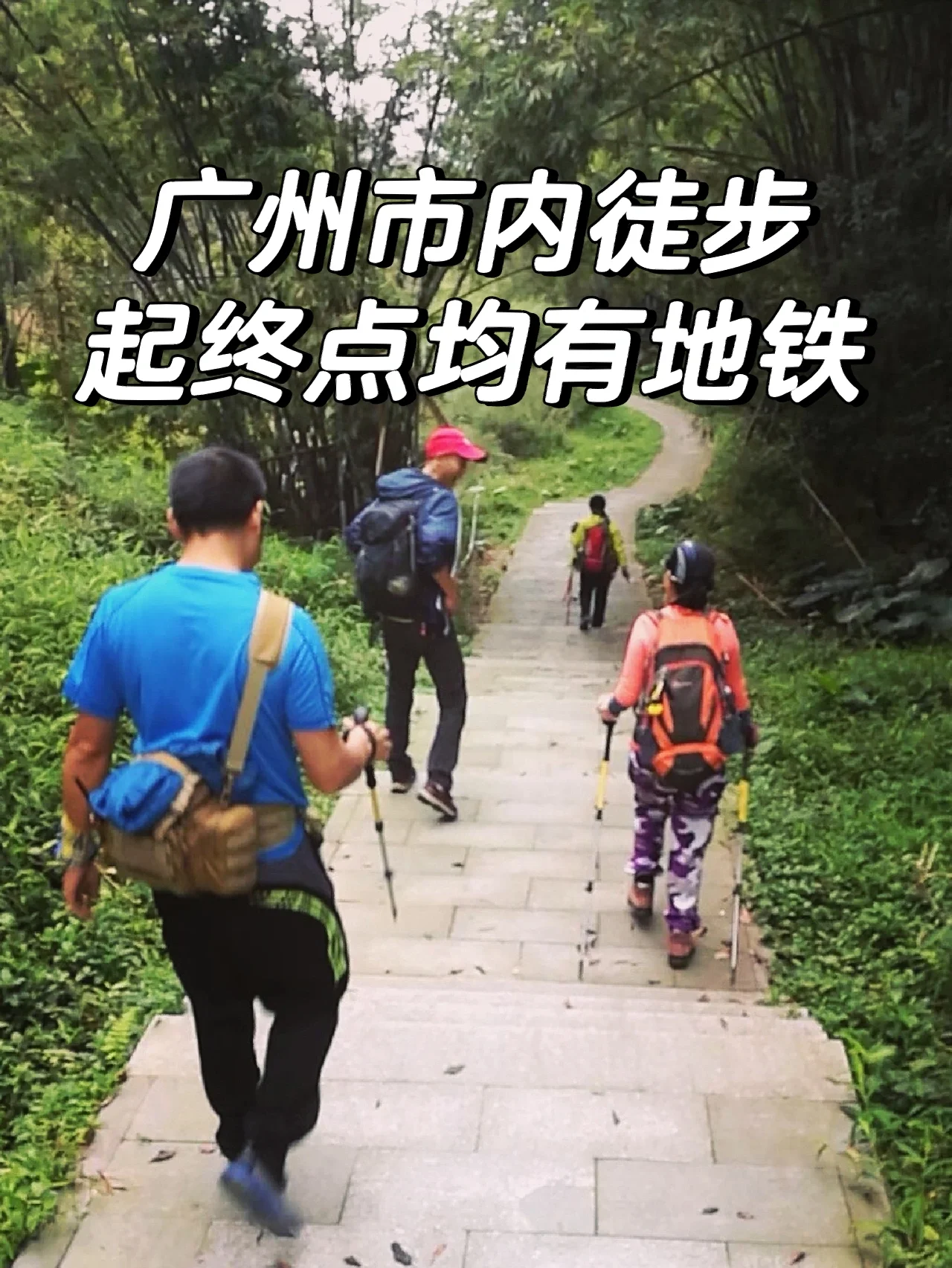 周末去哪❓广州地铁直达的徒步线推荐