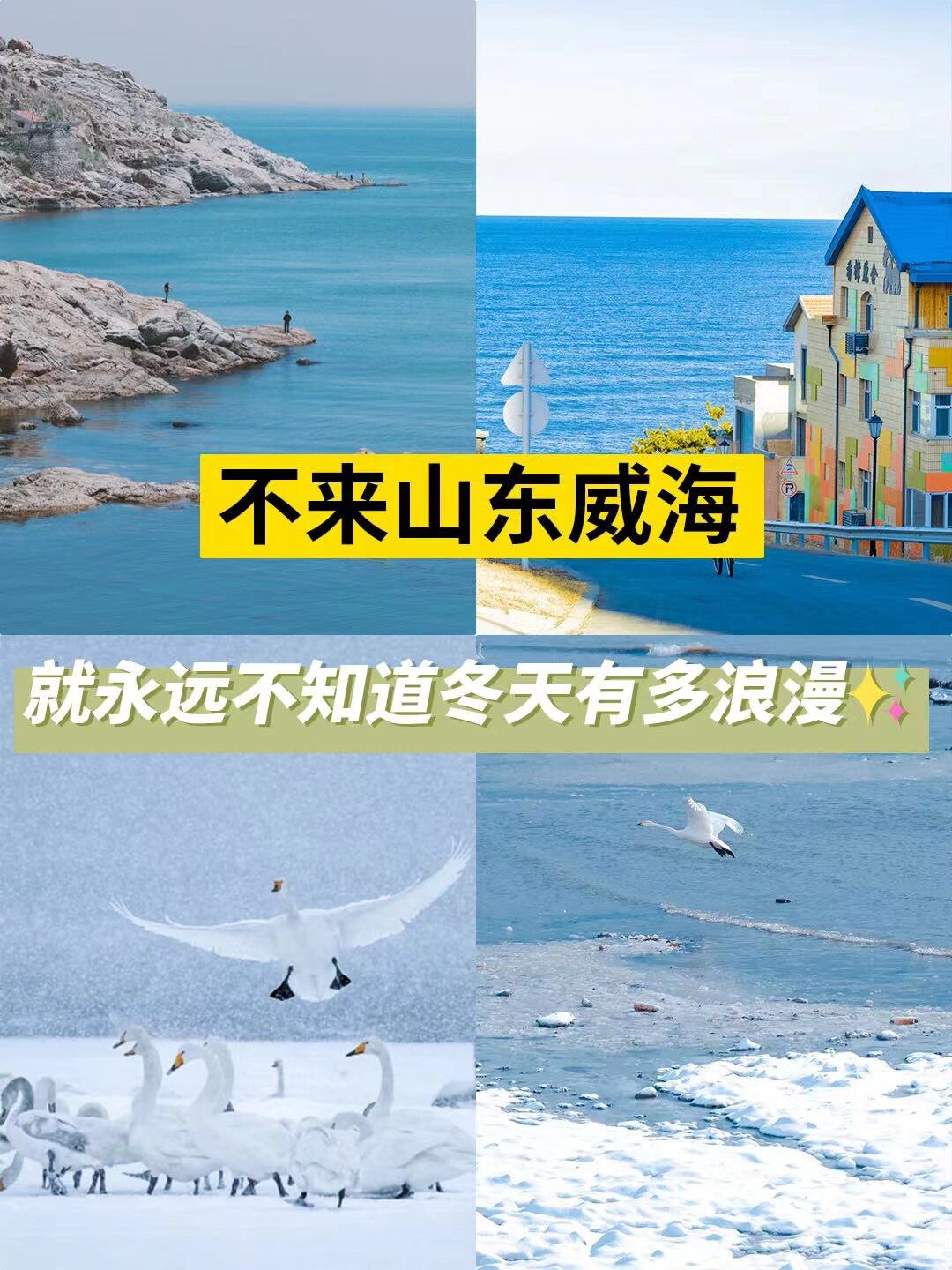 不来山东威海｜就永远不知道冬天有多浪漫