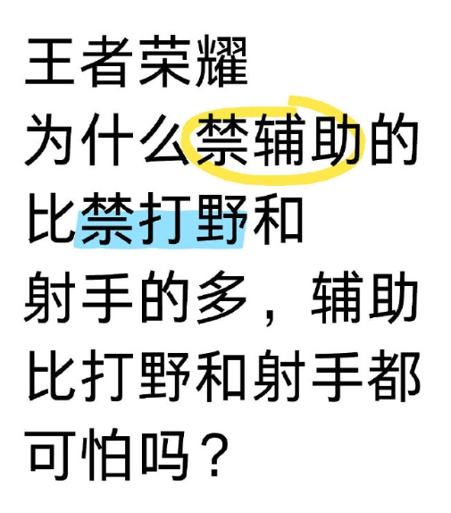 为什么你们那么怕辅助？[疑问]