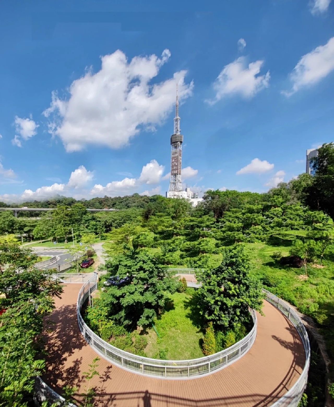 周末最美运道徒步！快来参加！