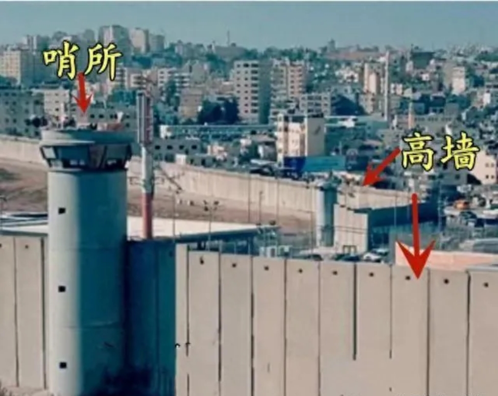 你见过如此残暴对待另一个民族的人吗？视巴勒斯坦人为动物园中的动物，既有高墙、检查