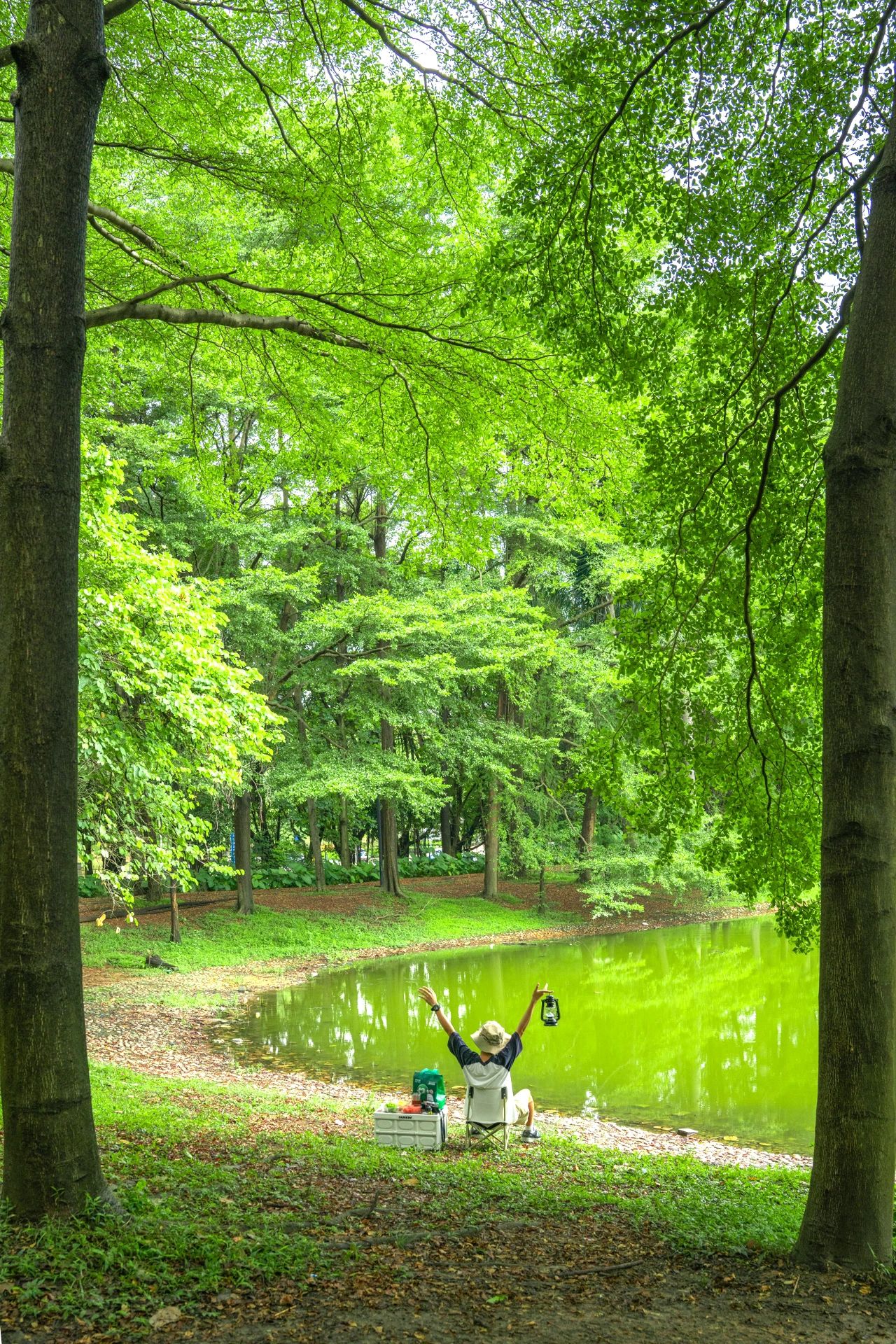 广州超小众露营地|我爱惨了这片森林湖泊