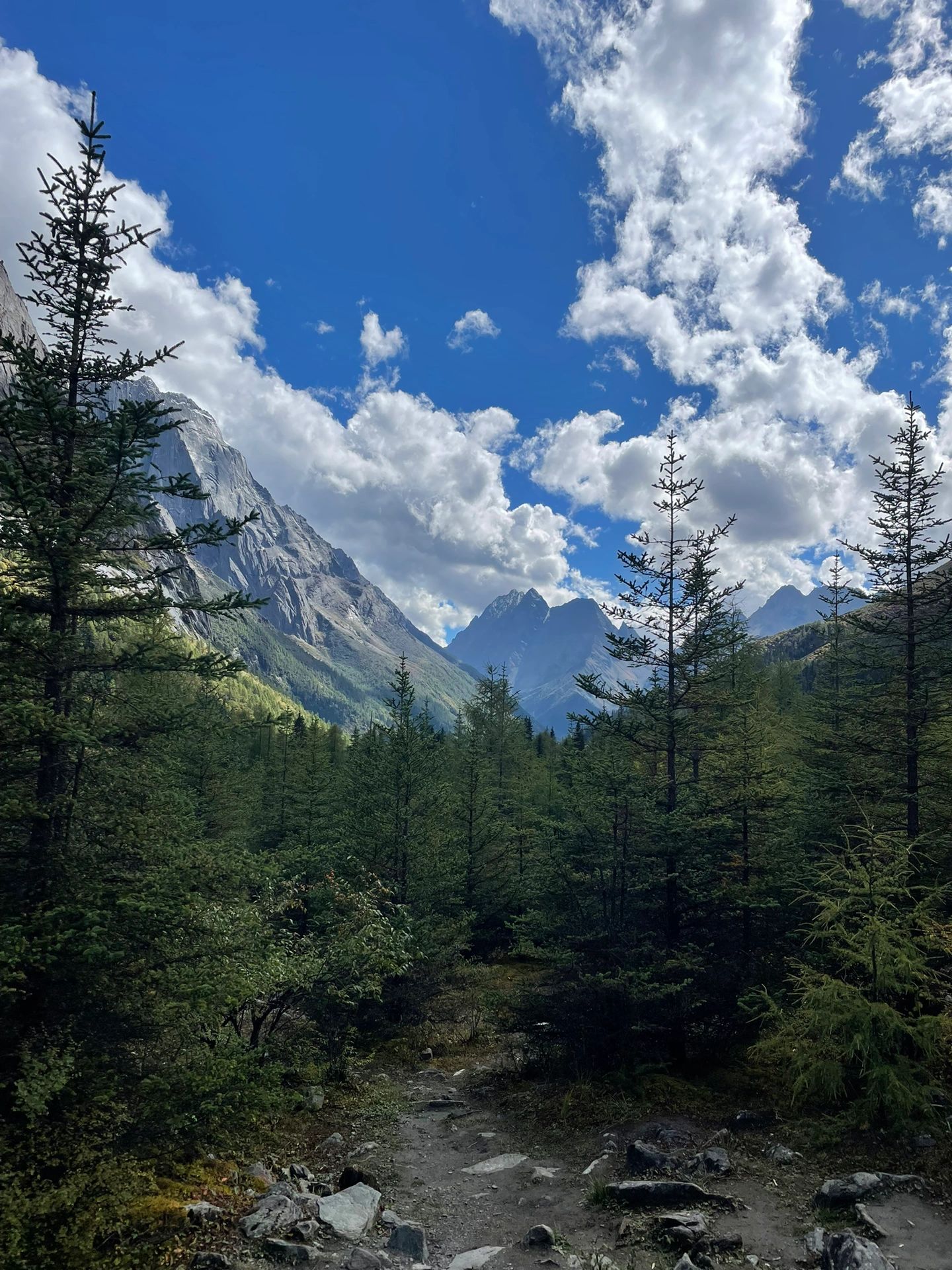 318见过高山，才能更无憾的活在平原