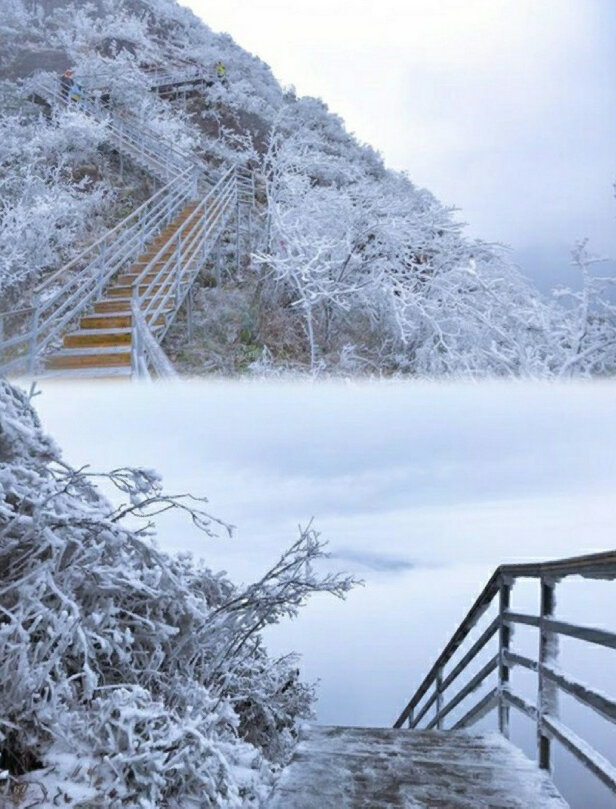 不出省❗️原来广东这几个地方就能看到雪