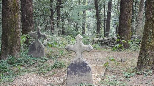 我跟哥哥一起回村“探亲”，可村民却说，我身旁的哥哥，并不是我的哥哥......