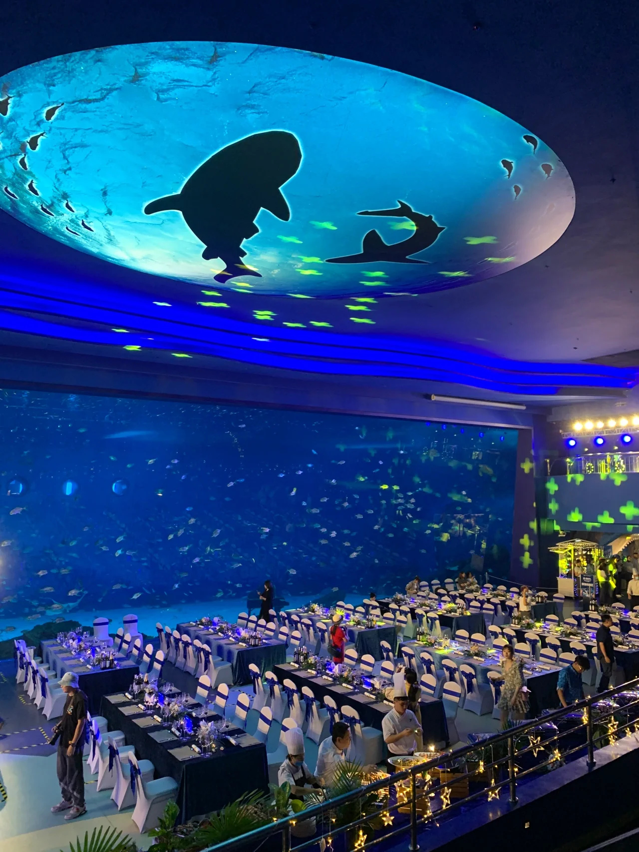 上海海昌海洋公园夜宿｜开启鲸彩夜时光