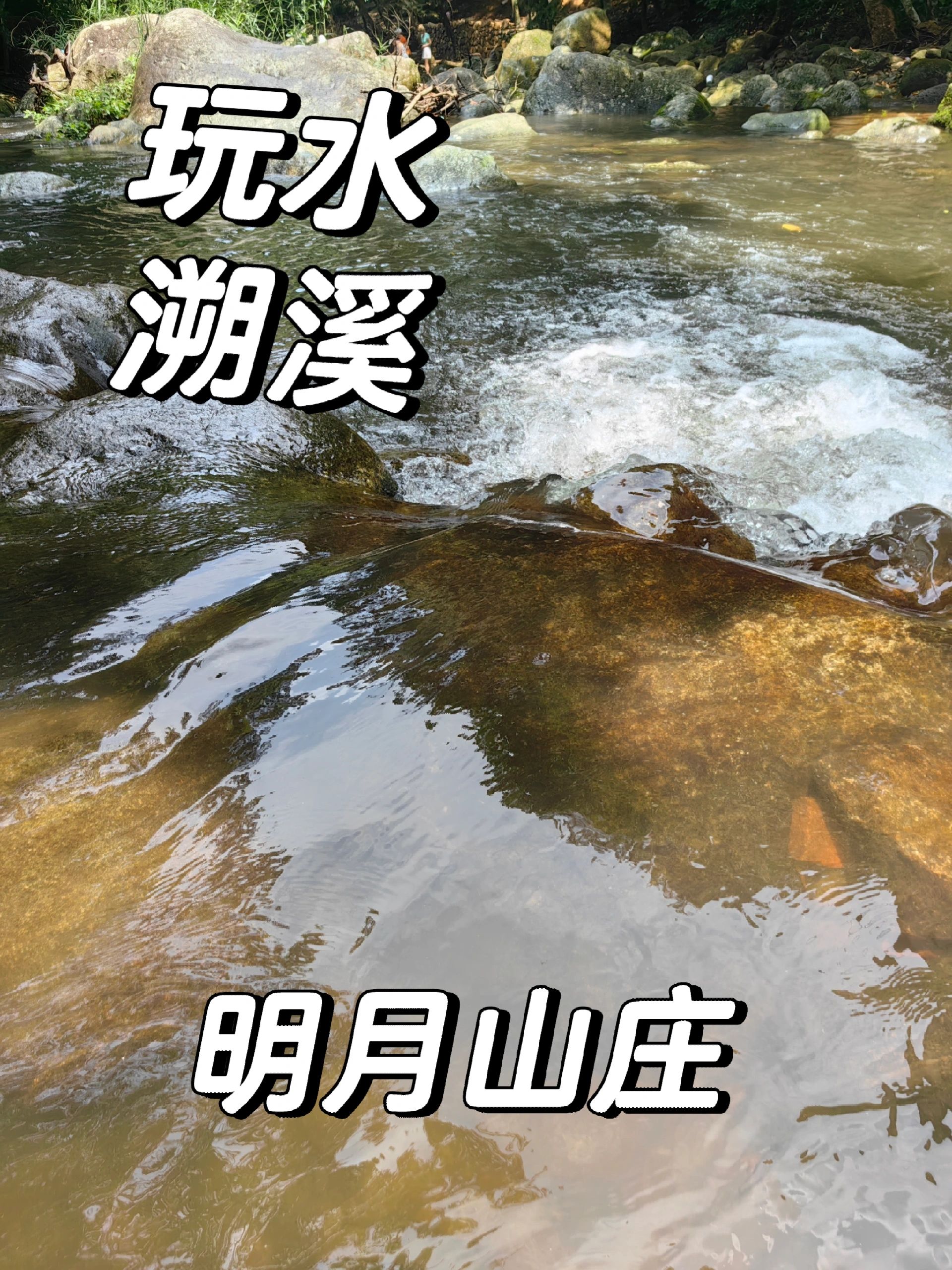 山中小溪里，在树荫下就可以溯溪玩水游泳啦
