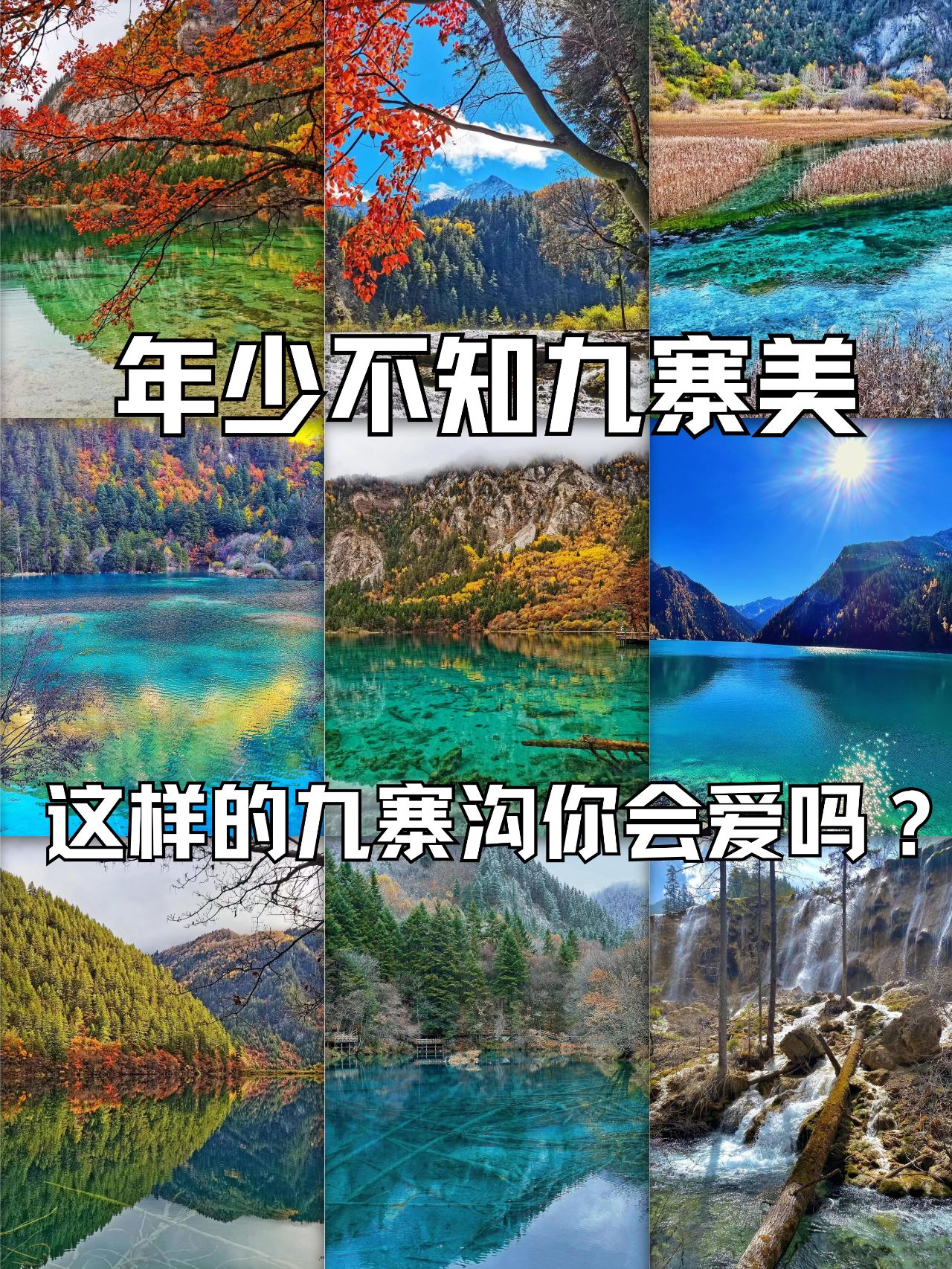一定要去11月的九寨沟！纯美！嗷嗷美！