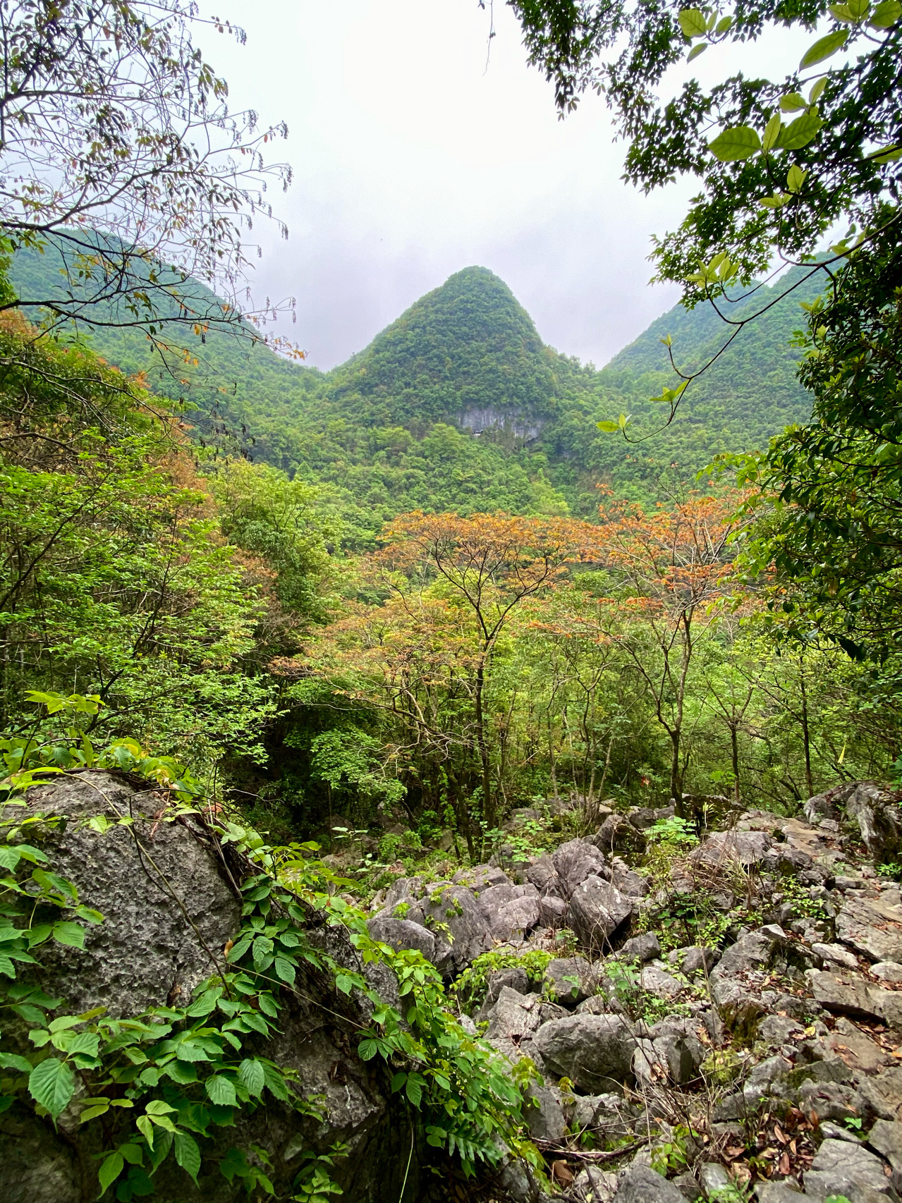 户外｜清远阳山牛湖线 徒步穿越喀斯特石林