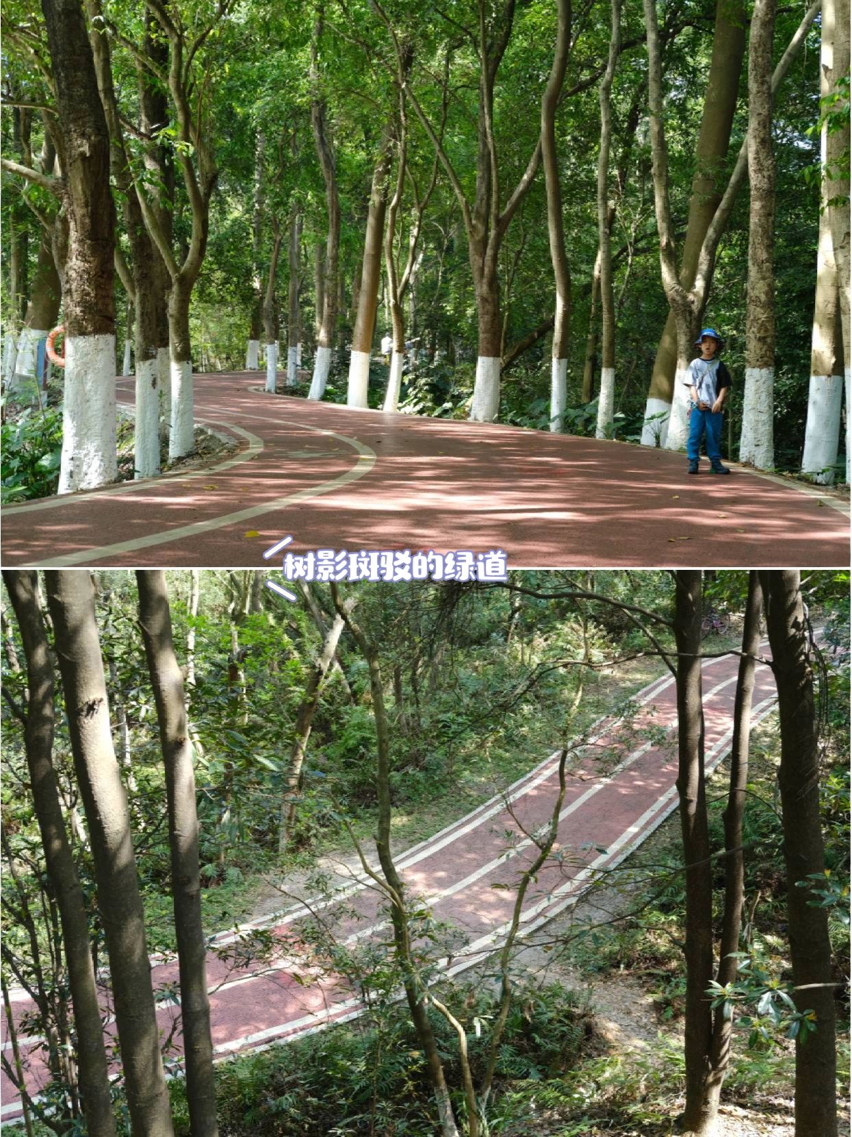 亲子徒步 | 番禺大夫山土路小环线5km