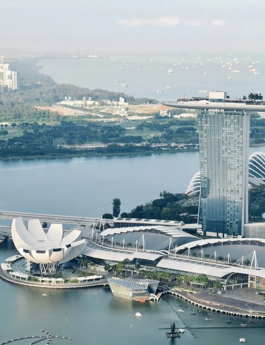 为何中国人到了新加坡都得老老实实的？

因为新加坡的罚款特别厉害。我一个朋友去新