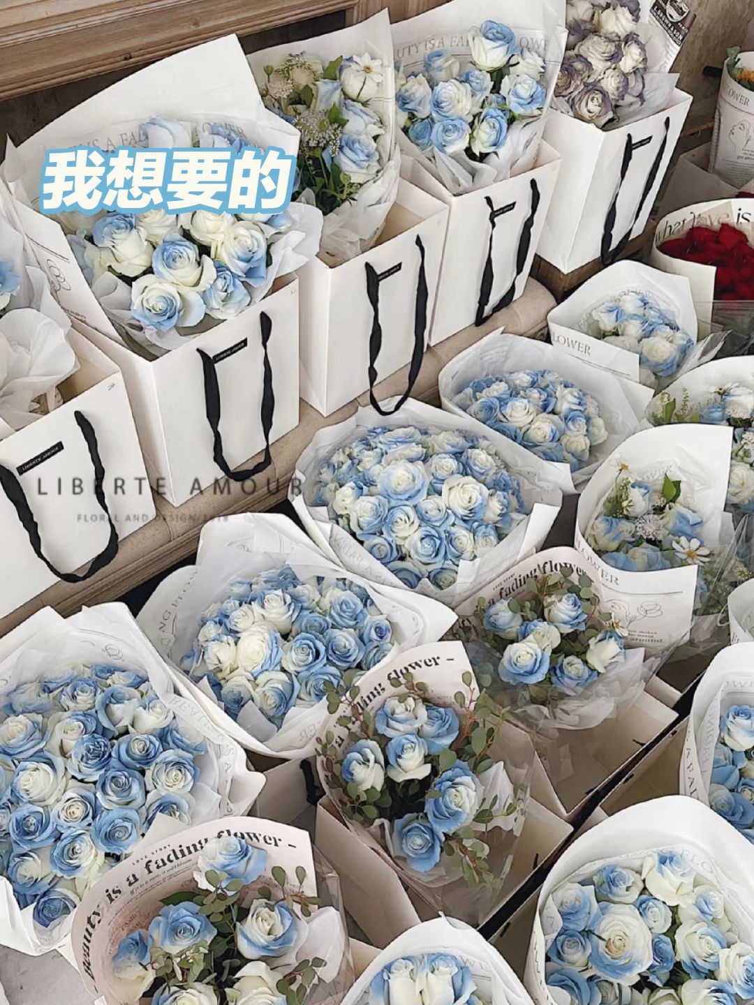 我想要的VS男朋友送我的😖
我喜欢的💐：天蓝色、彩色、浅粉色、复古色、仙气的