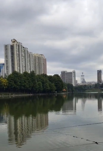 深圳黑坑系列之洪湖公园