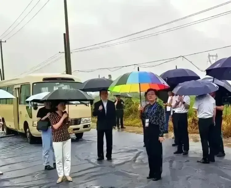 最近这样的一张照片火了！
领导雨中到地头检查工作，迎接检查没有铺红毯，领导自己打