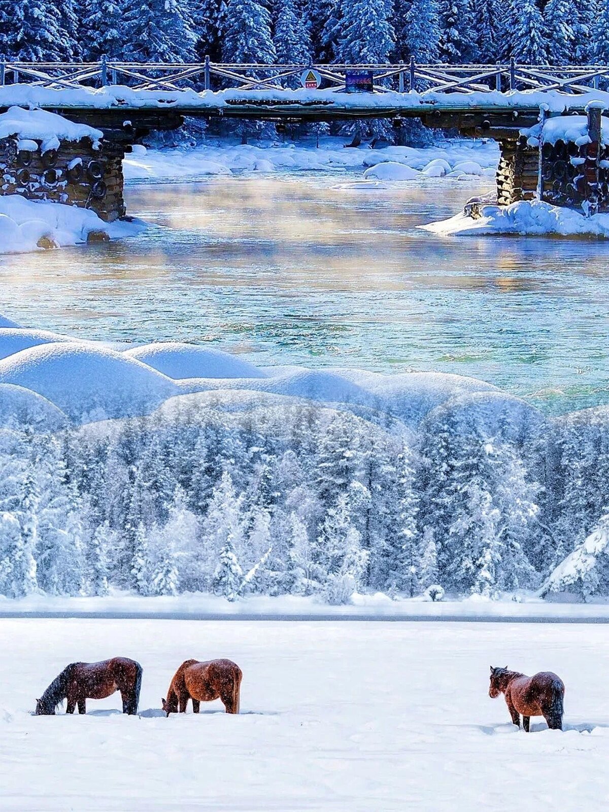 ❄️走进童话世界：冬日阿勒泰深度游攻略