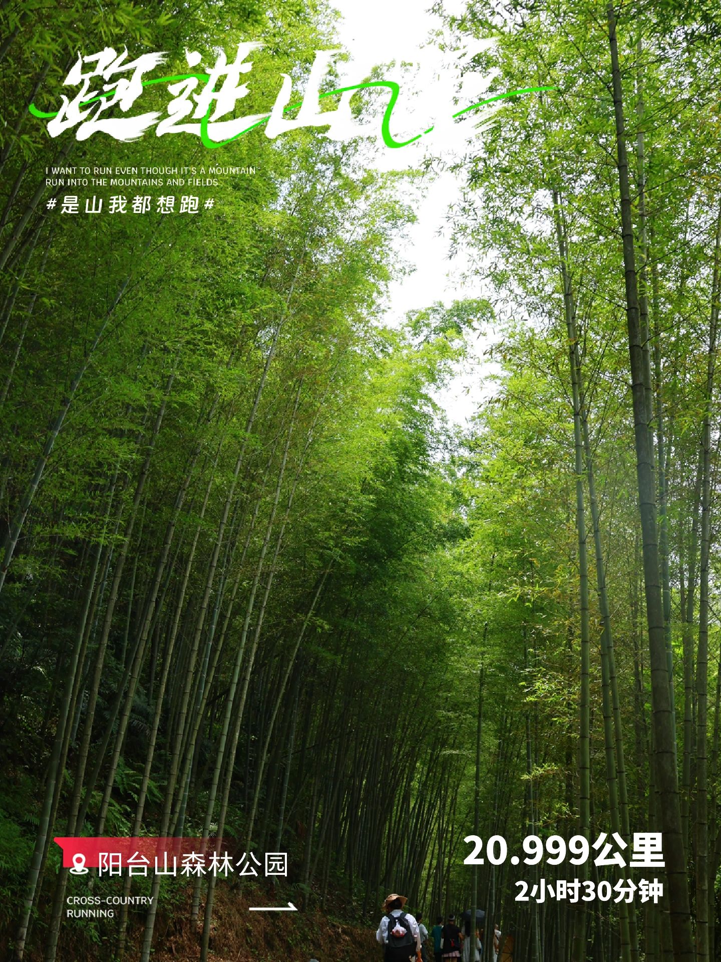 竹林深邃，曲径通幽
