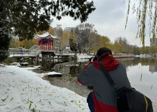 【长安公园雪景】 ​