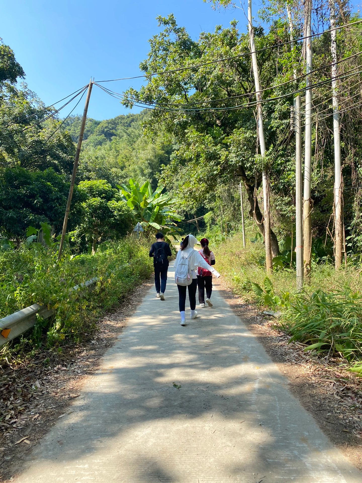金秋徒步油麻山