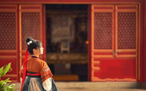 将军回来的那日，怀中抱着一名红衣女子，我想爆锤渣男贱女