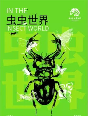 杭州亲子免费博物馆，精品昆虫展