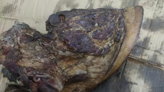 没钱也要维护亲情？穷亲戚的奇怪行为引发思考