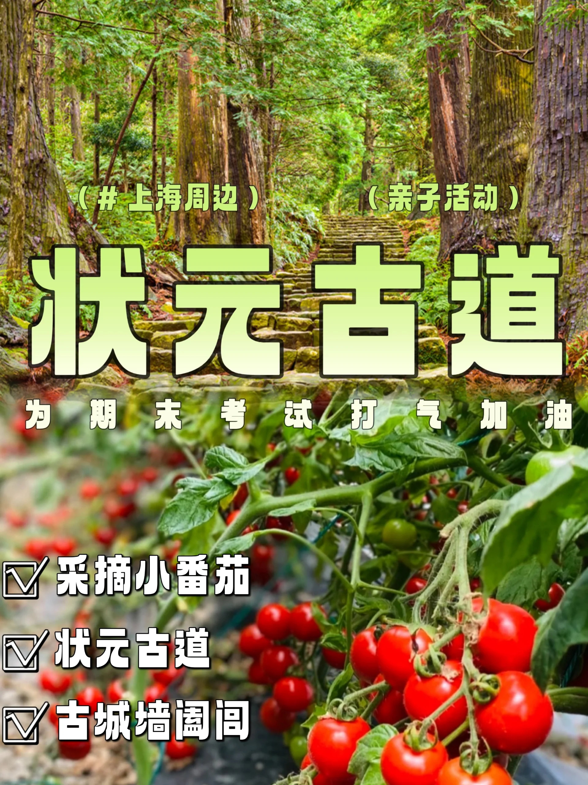 上海亲子周边|跟小侠一起爬一爬状元古道吧