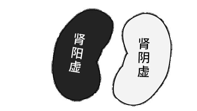 1分钟搞清楚你是肾阳虚还是肾阴虚，2味药阴阳双补