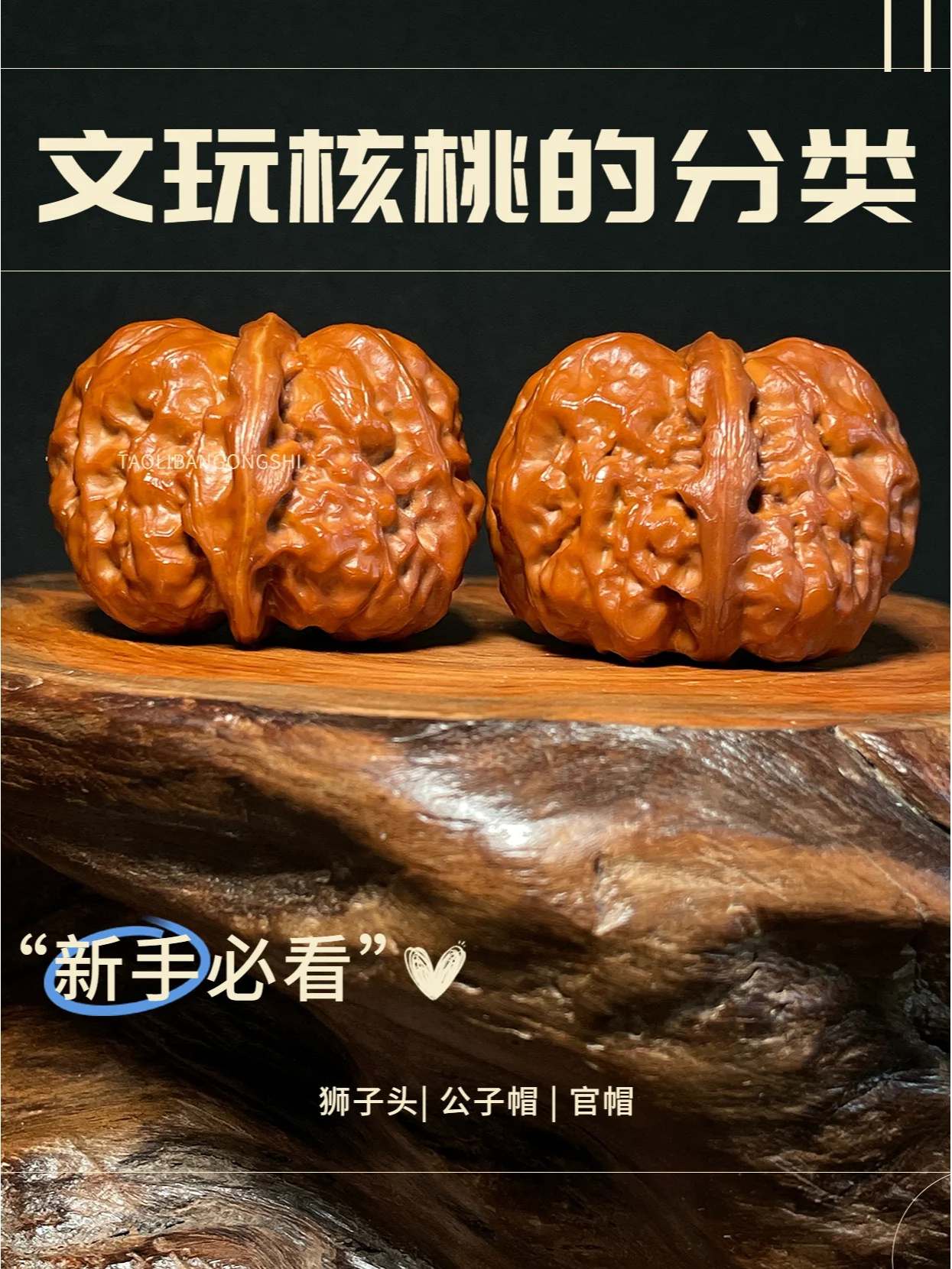 文玩新手速来✨文玩核桃品种和分类❗