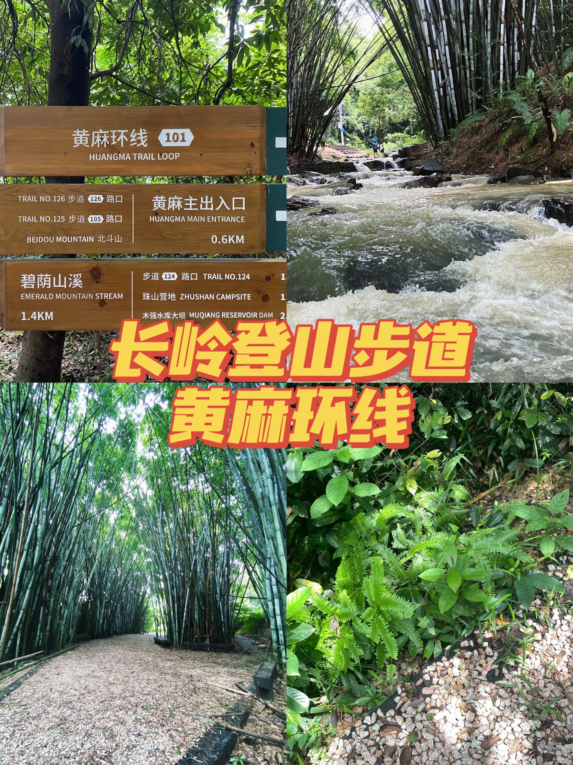 一周一山吸氧计划｜长岭登山步道黄麻环线