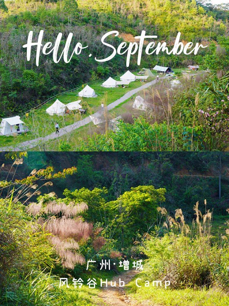 夏末秋初露营🏕️森系山谷里享受野系生活