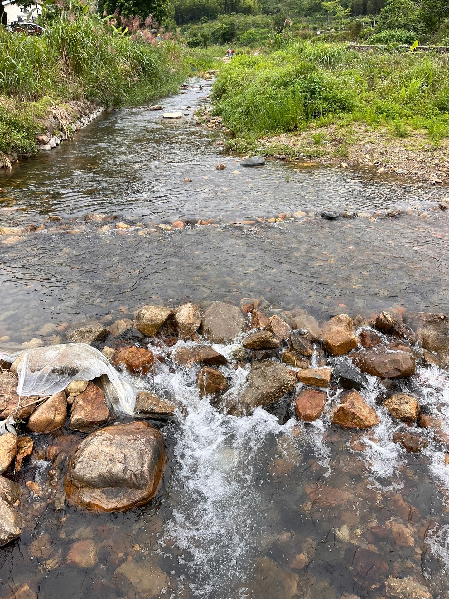 星溪线-适合新手的竹林徒步路线