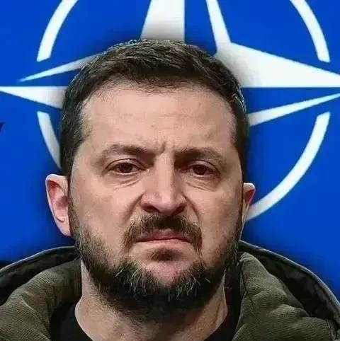美国顾问不小心说了实话，泽连斯基命运已经确定！

美国五角大楼前顾问麦格雷戈表示