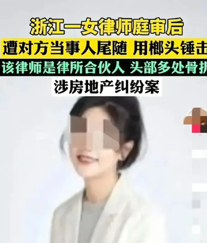 老百姓只剩下榔头了
桐乡榔头砸律师看似对准的是律师、是法律，实际对准的是一般利益