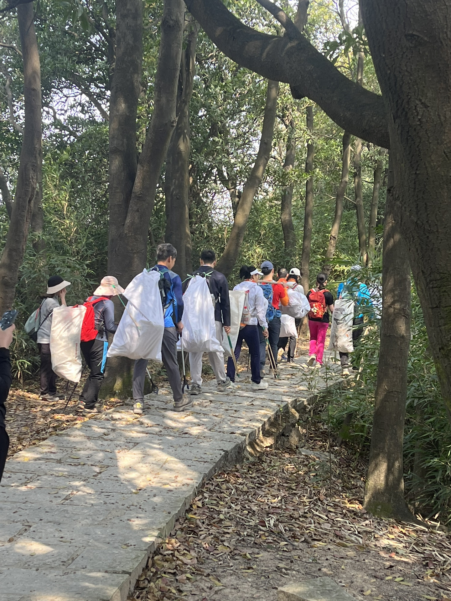 广州市内徒步｜龙渔线🌸有幸加入绿豆清野
