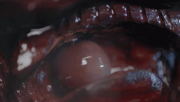 首播收视全国第一！侯勇一出手就给央视带来一部年代传奇剧！