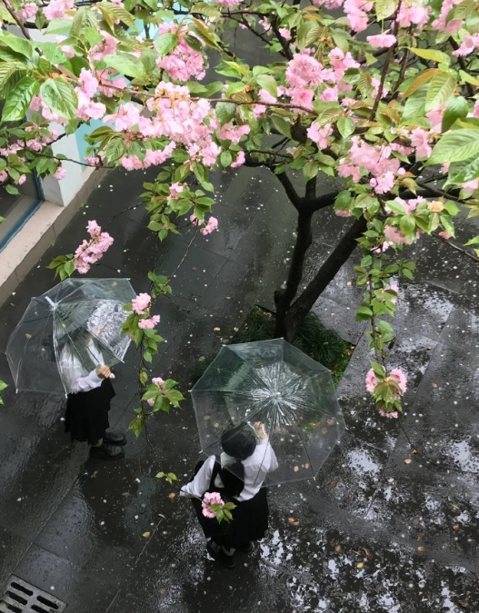 我的生命 是一万次的春和景明。 ​​​