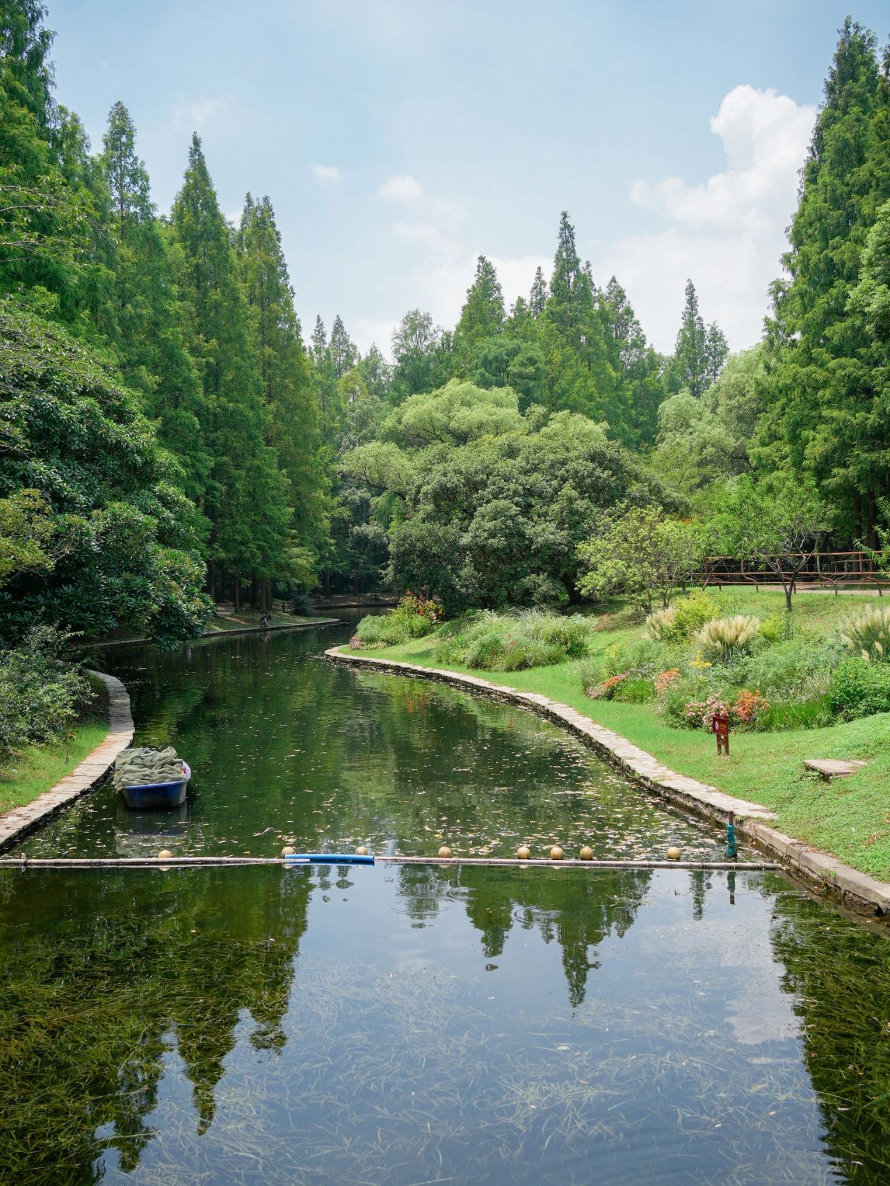 夏日免费溯溪玩水💦共青森林公园宝藏瀑布