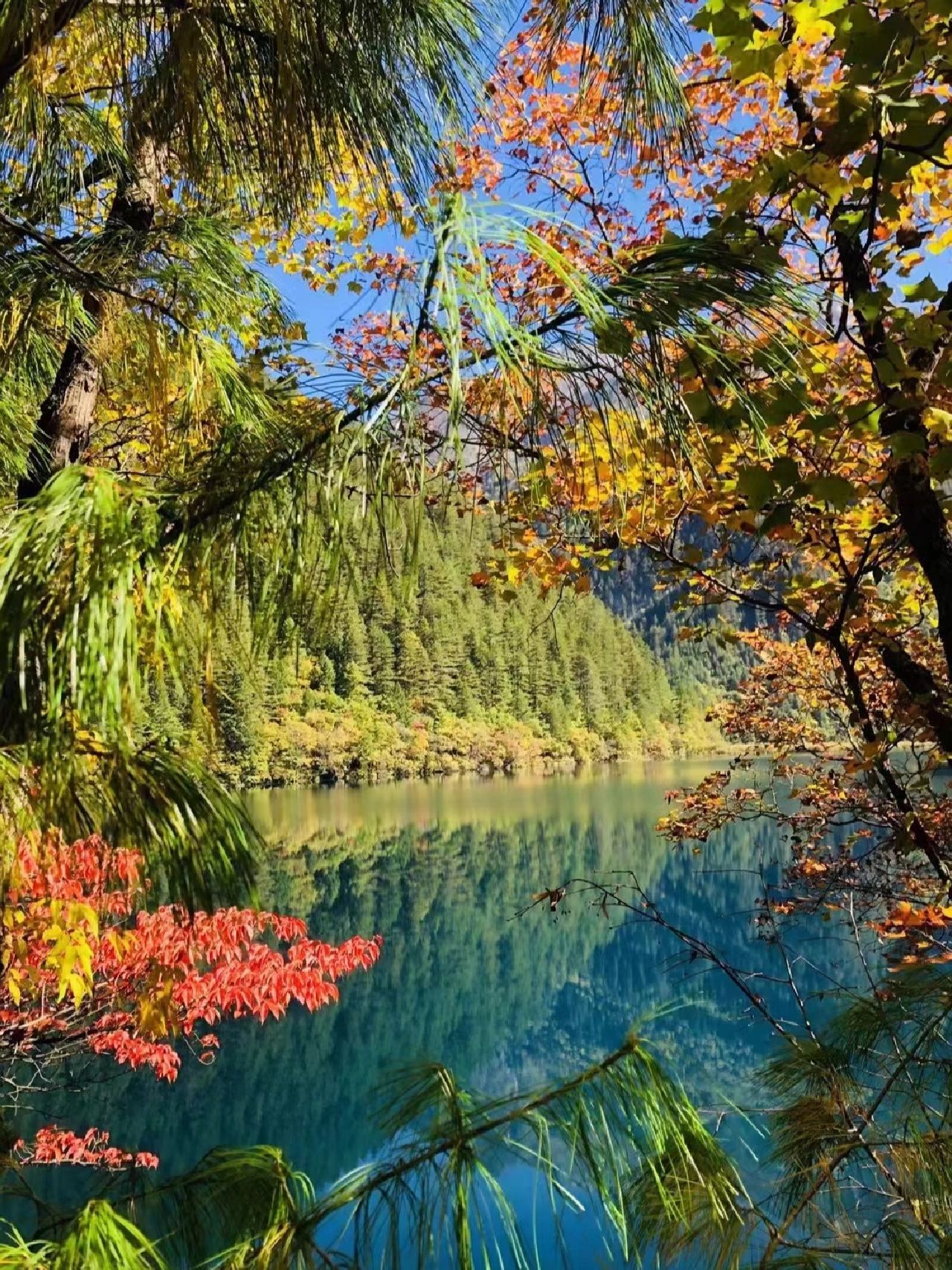 川西秋景红叶颜值天花板，这些景点闭眼选