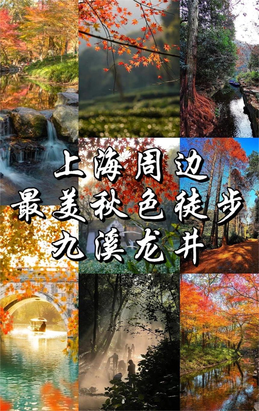 上海周边最美秋色徒步丨九溪龙井 人少景美