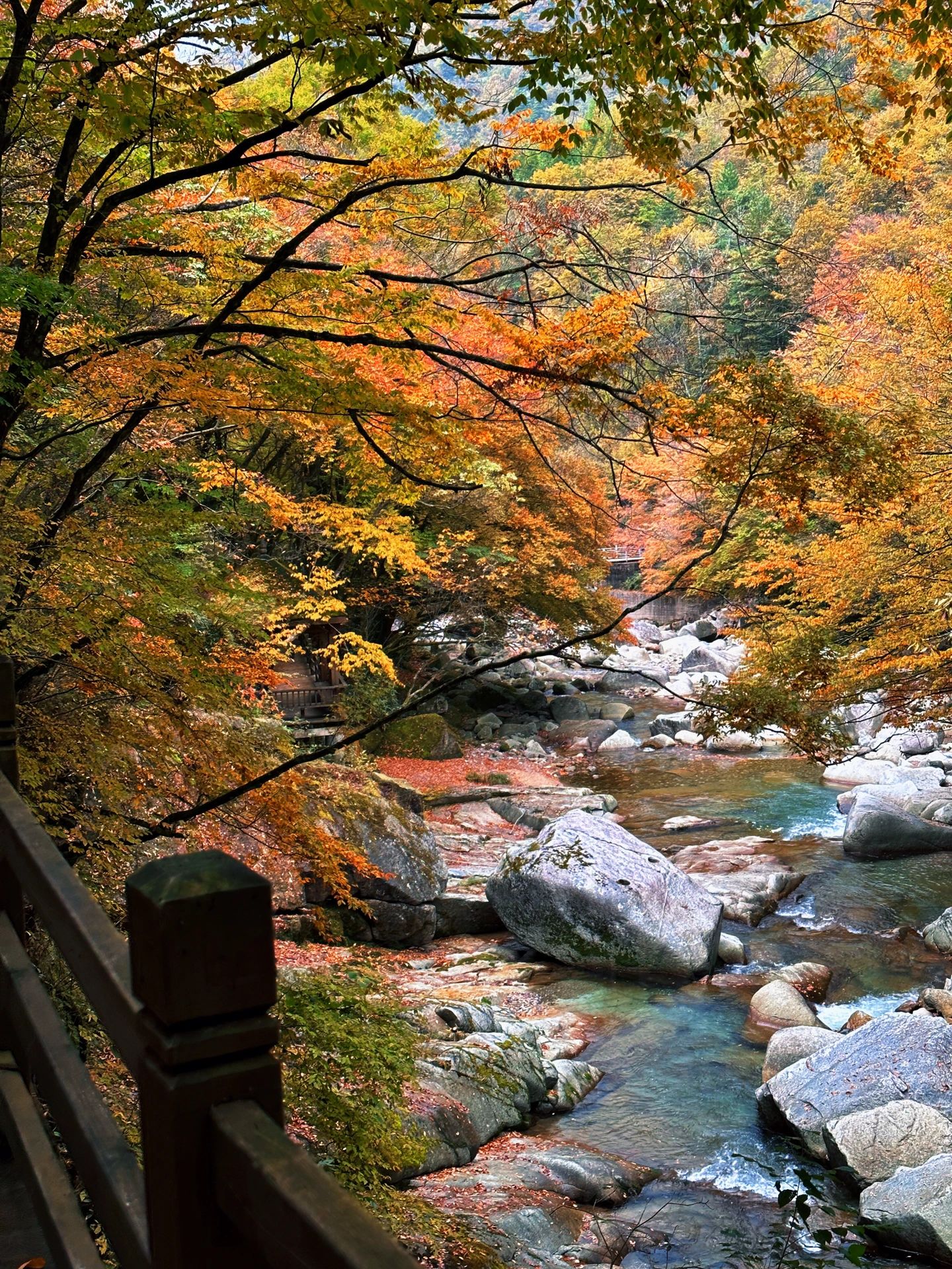光雾山赏秋之旅，10月17日实拍超美