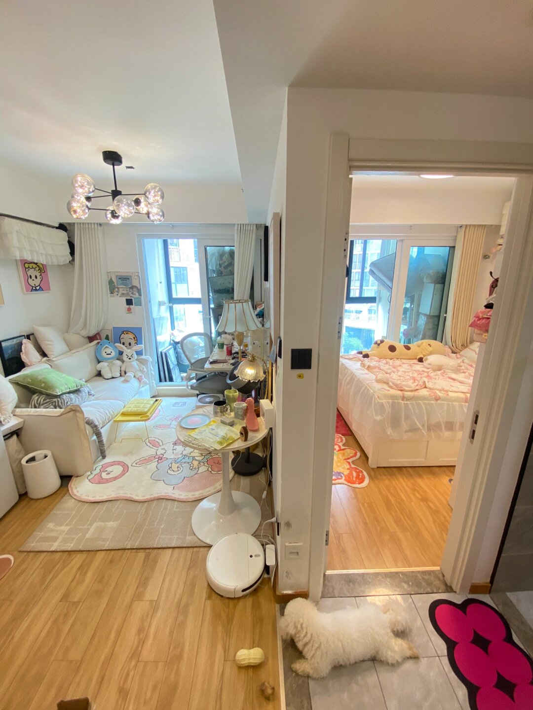 26岁未婚独居，一室一厅一人一狗好快乐
终于完成了小时候的梦想
经济独立
拥有自