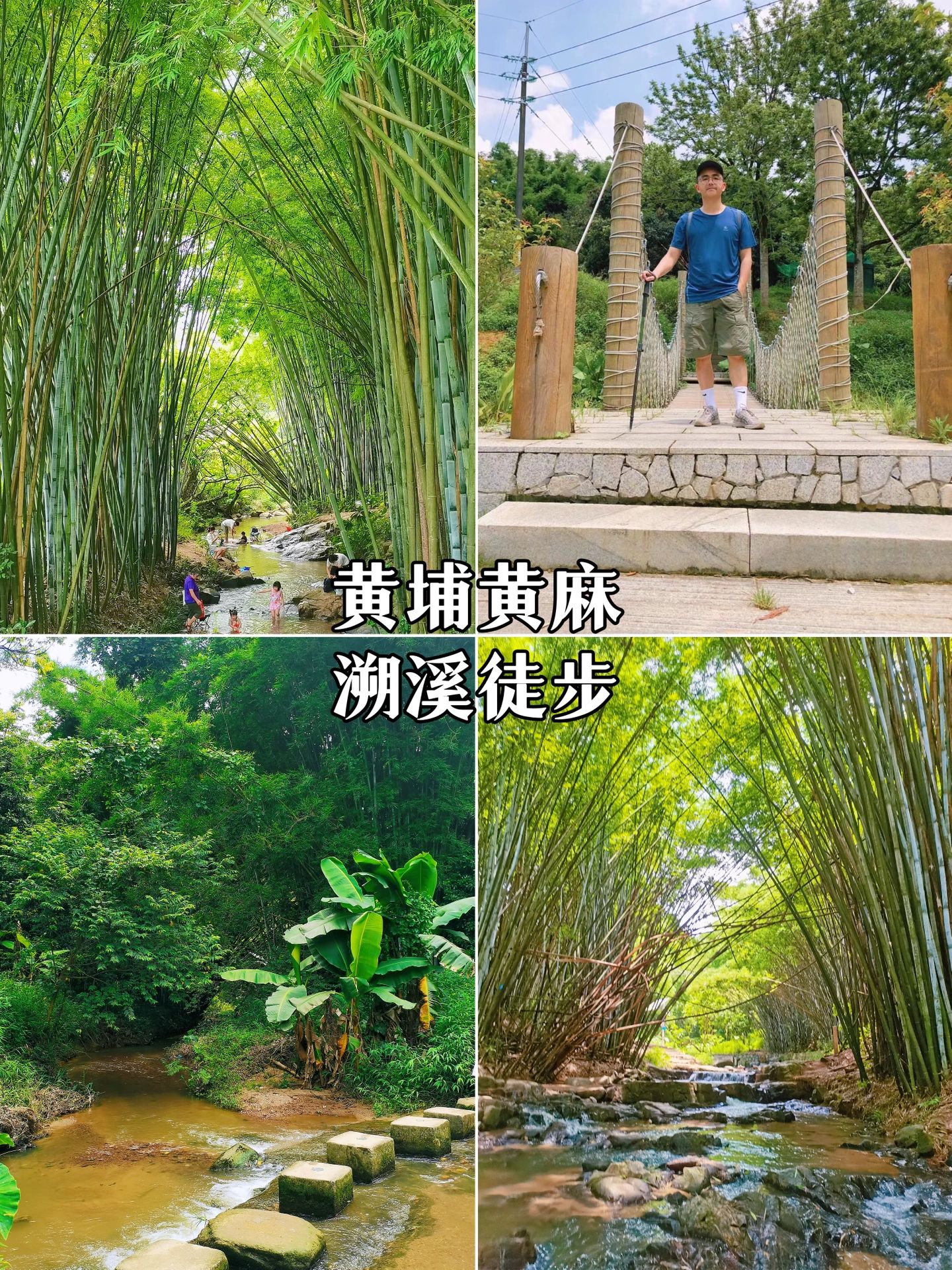 黄麻玩水攻略｜来广州这个竹林溯溪圣地避暑