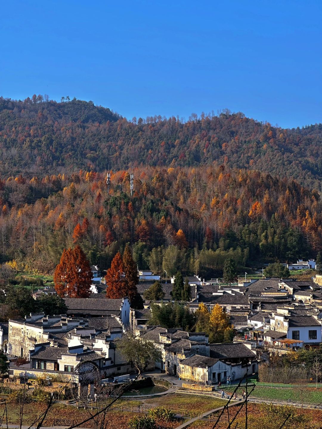刚从西递回来，简直无言了……
西递始建于北宋，至今已有近千年的历史，保存完好的民