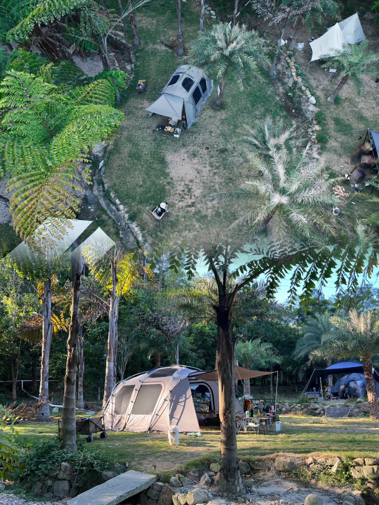 广州增城喜露营榄云营地