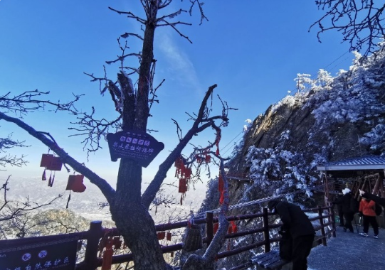 我就非常的喜欢下雪天，每次下雪的时候总可以能拍出很多好看的照片